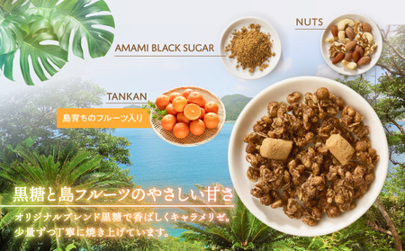 Amami フルーツ グラノーラ （ たんかん ） 約 200g 黒糖 保存料 無添加 A198-002 フルーツグラノーラ 加工食品 加工品 キャラメリゼ 島フルーツ 果物 果実 Plumeri C