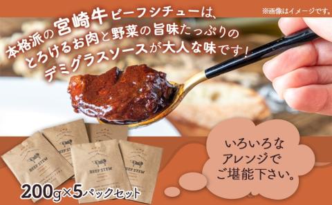 【年内お届け】とろける宮崎牛ビーフシチュー5パックセット≪2025年12月15日～31日お届け≫_MJ-H301-HNY