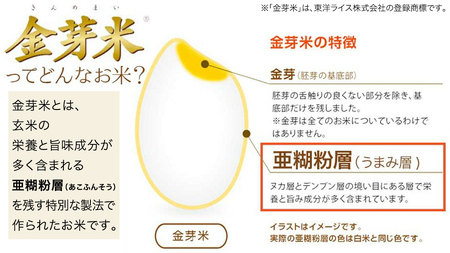 【 金芽米 】＜8月11日から17日までに出荷＞ つくばみらい市産 コシヒカリ 5kg × 2袋 ( 計 10kg ) 金芽米 きんめまい 米 お米 無洗米 茨城県 カロリーオフ 低カロリー 東洋ライ
