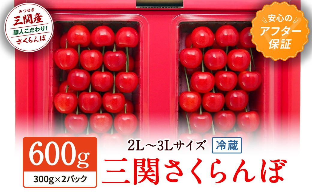
                  三関さくらんぼ 3L/2L 600g  【（同）三関加敬農園】[H2-8701]
                