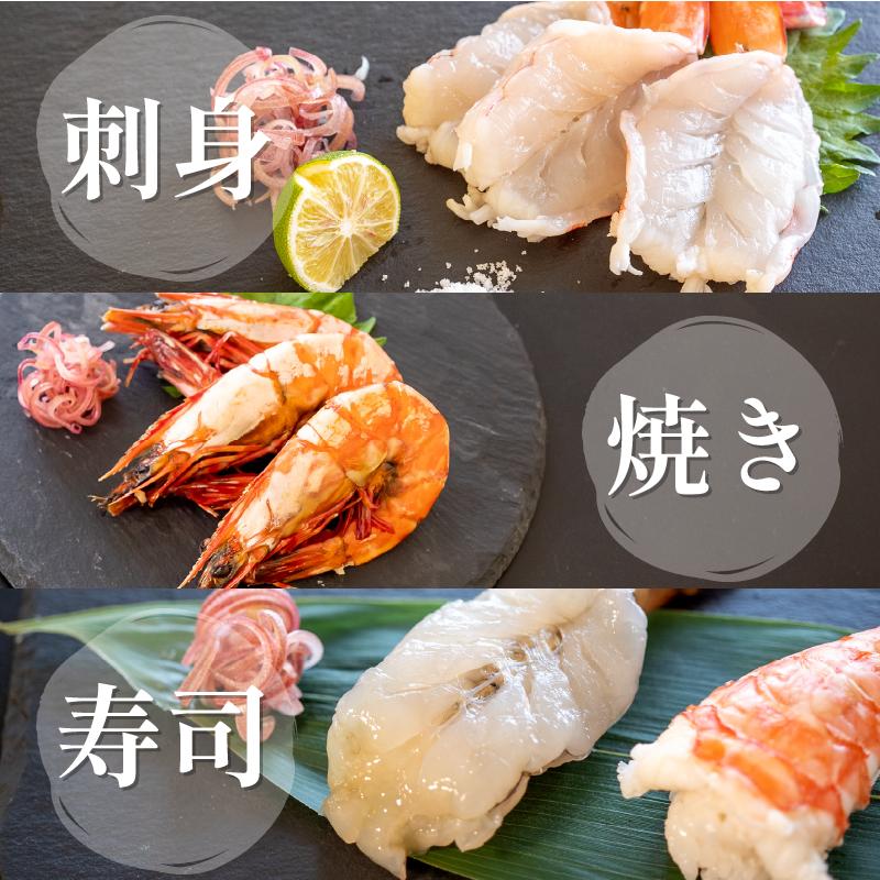 えび 足赤海老 500g 海老 天然 えび あしあかえび 冷凍 鮮度そのまま 海老 刺身 甘い エビフライ 塩焼き 殻付き プリプリ ebi エビ 天然えび 徳島