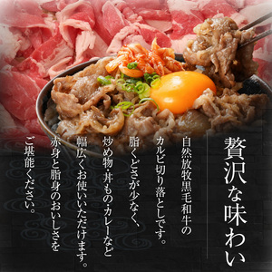 八崎牛のカルビ切り落とし 2.0㎏ N0105-YB924