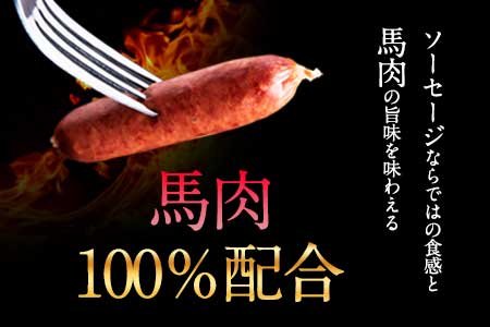 馬肉100%ソーセージ 2kg (500g×4袋) 《60日以内に出荷予定(土日祝除く)》肉 馬肉 ソーセージ 2kg 熊本県長洲町