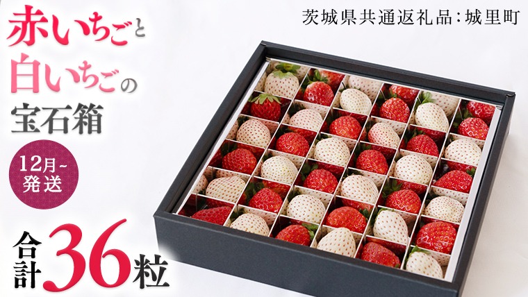 赤いちご と 白いちごの宝石箱 36粒 【12月から発送開始】（茨城県共通返礼品 [いちご]：城里町産）いちご 苺 イチゴ 白いちご 白イチゴ 宝石箱 [BI420-NT]
