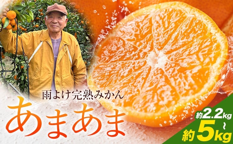 
            雨よけ完熟みかん「あまあま」選べる内容量 約2.2kg 約4.4kg 約5kg《12月下旬-1月上旬》徳島県 佐那河内村 みかん ミカン 蜜柑 柑橘 箱入り 化粧箱 フルーツ 果物 くだもの 贈答【配送不可地域あり】※離島不可
          