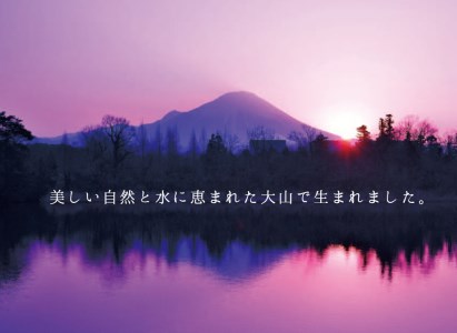 【年明け発送】〈大山ハム〉ハム・焼豚3品詰め合わせ（KH-03）