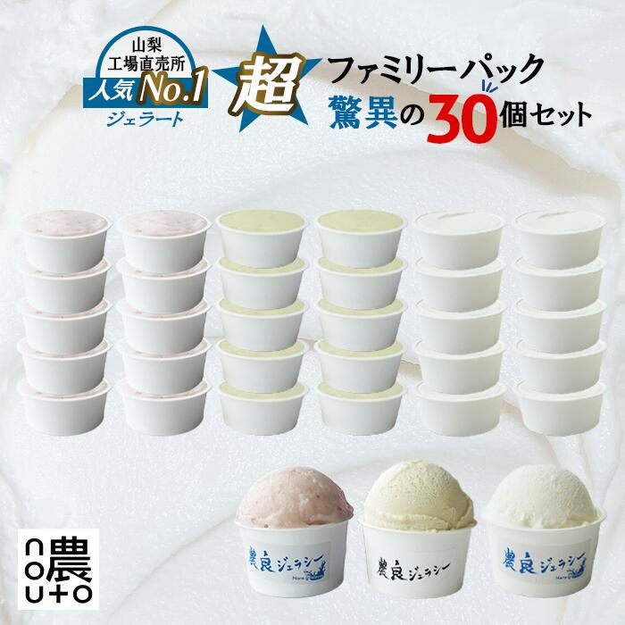 【ふるさと納税】驚異のジェラート30個セット！山梨県産フルーツ・ミルク・季節のおまかせフレーバー nouto工場直売所の人気No.1スイーツ ファミリーパック ご当地アイス・大容量冷凍発送 山梨県笛吹市 154-052 ★2025年7月中旬からの発送