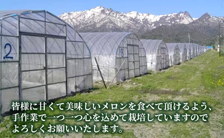 メロン 富良野産 赤肉 大玉ジャンボ 長沢農園【2玉 計4kg以上】【先行予約】