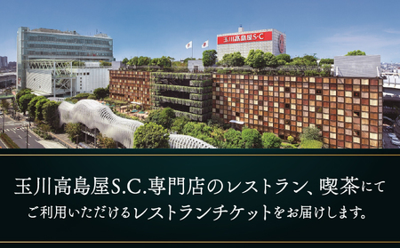 世田谷区ふるさと納税限定お礼品　二子玉川から望む世田谷区の街とグルメを楽しむ　玉川高島屋Ｓ・Ｃレストランチケット（30,000円分）【高島屋選定品】チケット 食事券 お食事券 レストラン デパート 東
