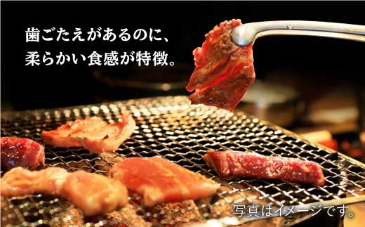 【大容量！食べやすい味付け】ホルモン専門店の和牛ハラミ1kg(500g×2)/BBQ/焼肉【三田川ホルモン専門店】吉野ヶ里町 [FAC004]