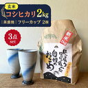 【ふるさと納税】【令和6年産】 玄米 コシヒカリ 特別栽培米（2kg） + 【美濃焼】 青雲かいらぎ フリーカップ 大 （2個） 多治見市 / 山松加藤松治郎商店 [TEU010]