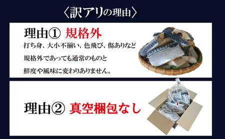 訳あり 塩サバ 切り身 約500g (約6切前後入り) 冷凍 鯖 塩 さば 魚 さかな 海鮮 海産物 おかず サバ 鯖ご飯 おすすめ 人気 さば サバ 鯖 魚 魚介 海鮮 惣菜 塩サバ 塩鯖 焼き鯖 