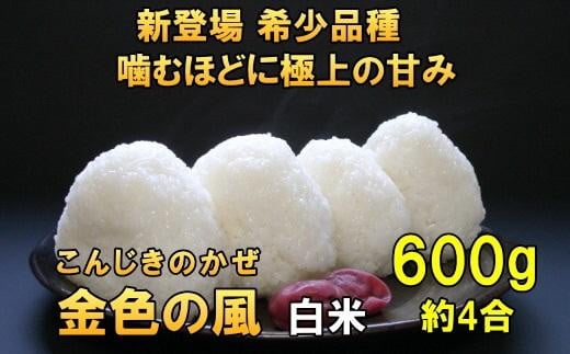 【白米 600g】新登場の高級米　令和6年産  岩手県奥州市産 金色の風【７日以内発送】 おこめ ごはん ブランド米 精米 白米