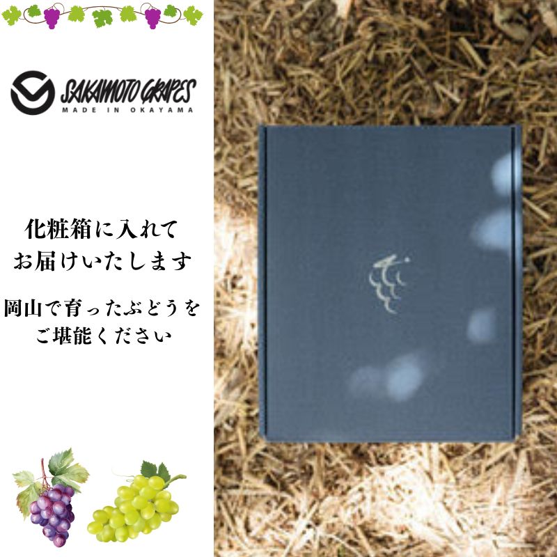 御贈答用 岡山県産 シャインマスカット 2房入り(1.2kg以上) ぶどう ブドウ 葡萄 フルーツ 果物 岡山 瀬戸内市
