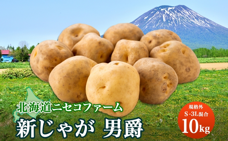 北海道産 じゃがいも 男爵 10kg 規格外 訳あり S-3L サイズ混