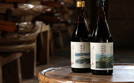 蔵元直送！しょうゆ 2本 セット かけ醤油720ml・丸大豆醤油720ml 調味料 人気 天然醸造 発酵食品 国産 大豆 安心 安全 手作り コク 旨味 醤油 しょうゆ 刺身 煮物【AS2B19】
