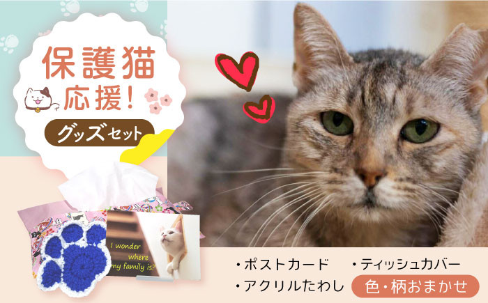 
            【保護猫応援!】グッズ3点セット ティッシュカバー・オリジナルポストカード・手作りアクリルたわし 猫 ねこ ネコ 保護 支援 動物愛護 猫 ねこ ネコ 保護猫 保護 グッズ ポストカード たわし ティッシュカバー 大阪府高槻市/高槻ねこのおうち[AOBR009] かわいい 猫 ねこ ネコ グッズ 保護猫 猫グッズ 支援 動物愛護 猫好き 雑貨 ねこモチーフ 癒しグッズ 動物保護 支援活動
          