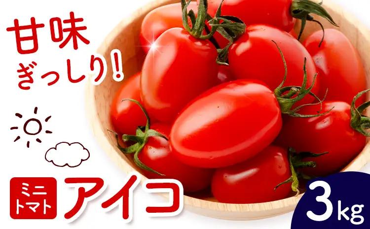 ミニトマト アイコ 約3kg ますだふぁーむ《7月上旬-11月末頃出荷》熊本県 南阿蘇村 アイコトマト 野菜 旬 夏野菜 トマト