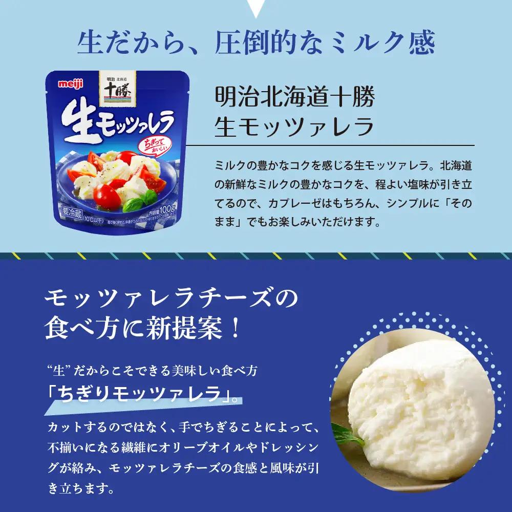 チーズ 明治 北海道 十勝 生モッツァレラ 100g×6袋 チーズ