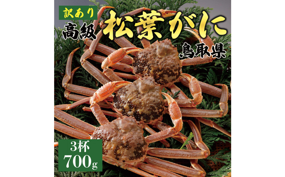 1052.【2025年11月発送】特撰 松葉がに（なま）【訳あり】700g超のサイズ 食べ応えあり 3杯 313726_BS030