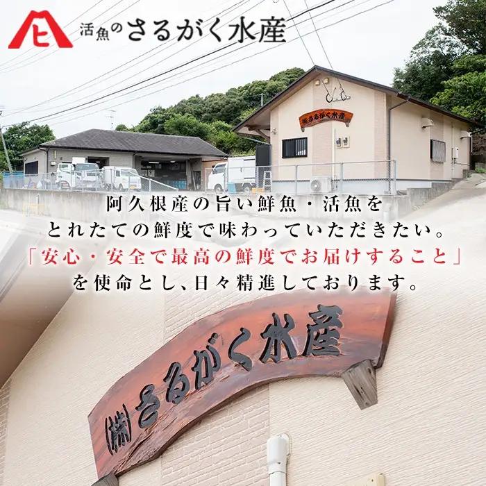 養殖ぶり切身(約1kg) 鹿児島県 阿久根市 ブリ ぶり 鰤 魚貝 魚介 海産物 切身 切り身 煮物 煮つけ 焼き魚 おかず おつまみ 小分け 【さるがく水産】akn028-44