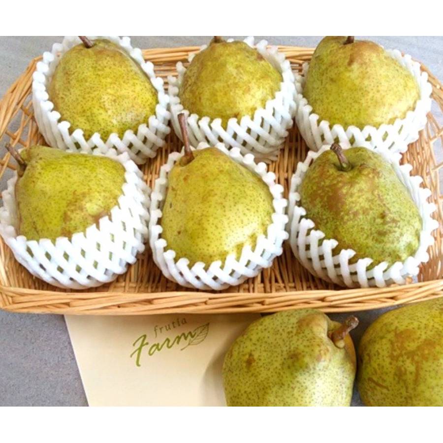 ＜フルーティアファーム　洋梨畑＞長野県産ラフランス2kg