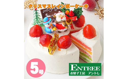 
クリスマスレインボーケーキ5号サイズ【074C-003】
