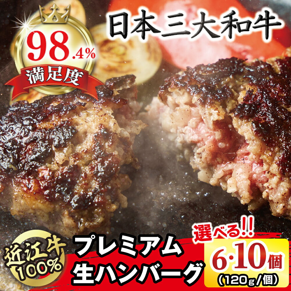 【ふるさと納税】近江牛100％ プレミアム生ハンバーグ 選べる 6個 / 10個（約120g/個） 牛肉 国産 近江牛 ハンバーグ 個包装 近江フードJAPAN 冷凍