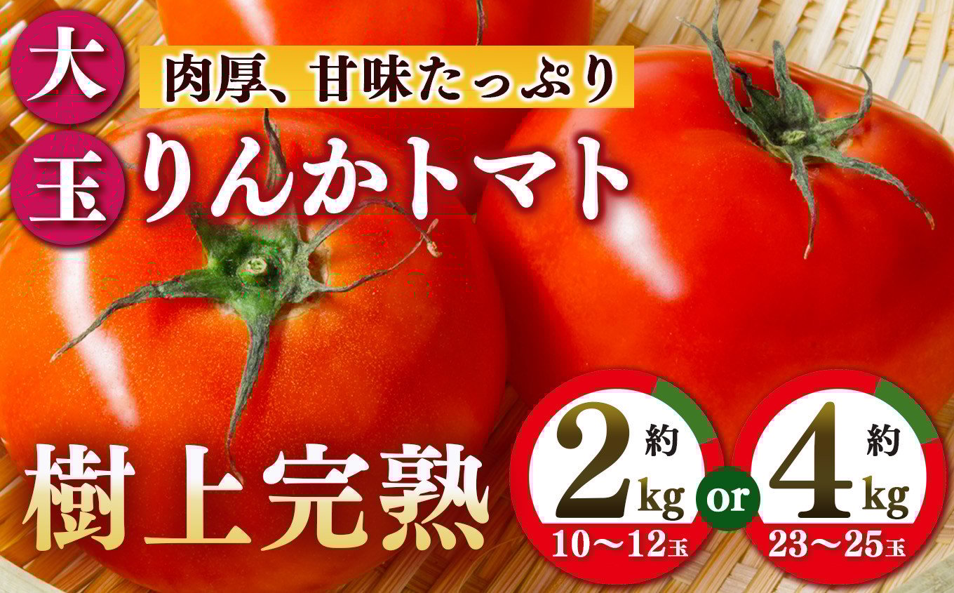 
            トマト 約2～4kg 10玉～25玉   | ヤサイ 野菜 やさい トマト とまと 野菜 奈良県 五條市
          