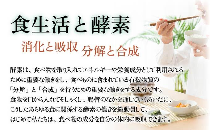 定期便 9ヵ月連続 全9回 スーパーオータカ 1200ml 大高酵素 健康 飲料 原液 植物エキス醗酵飲料 美容 栄養 野菜 北海道 果物 植物 植物エキス 酵素 熟成 ファスティング 特許 保存 非