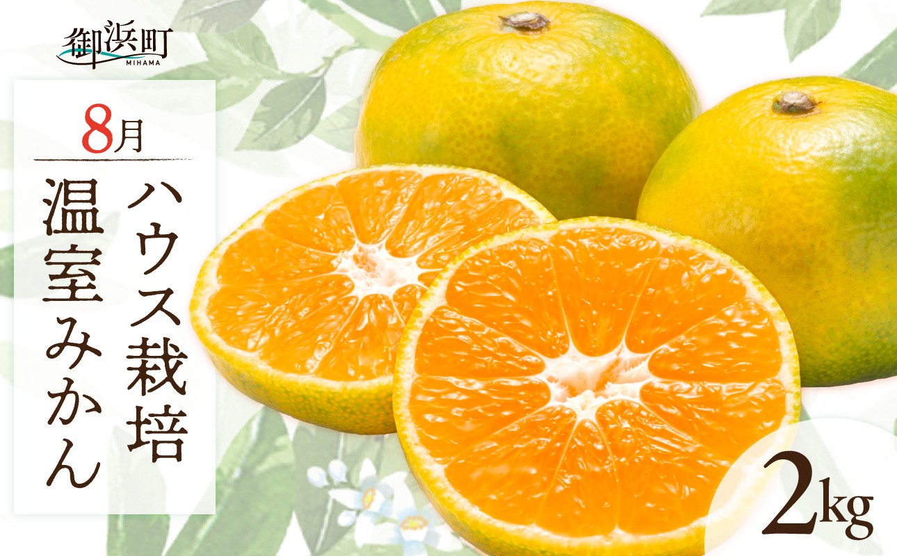 
                  8月の御浜柑橘 温室みかん 2キロ【先行予約 期間限定 果物 フルーツ みかん 温室みかん 2kg 三重県 御浜町】
                