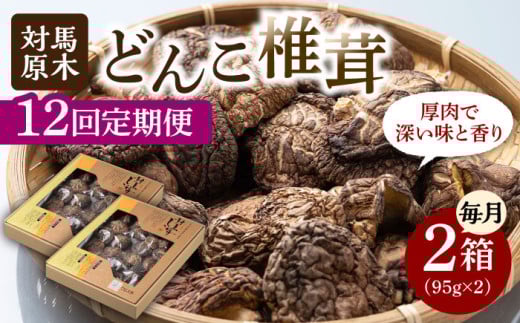 【全12回定期便】対馬 原木 どんこ 椎茸 95g×2箱《対馬市》【うえはら株式会社】 対馬産 肉厚 しいたけ 乾燥 きのこ 贈り物 [WAI059]