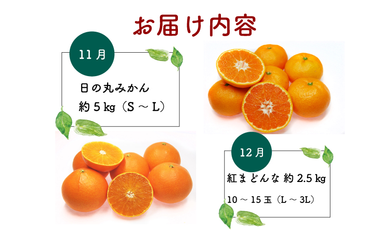 みかん定期便 6回 愛媛みかん えひめ かんきつ 定期便 愛媛県観光物産協会 みかん mikan 愛媛蜜柑 愛媛ミカン 日の丸みかん 紅まどんな 伊予柑 デコポン せとか 河内晩柑 サイズ ミックス 