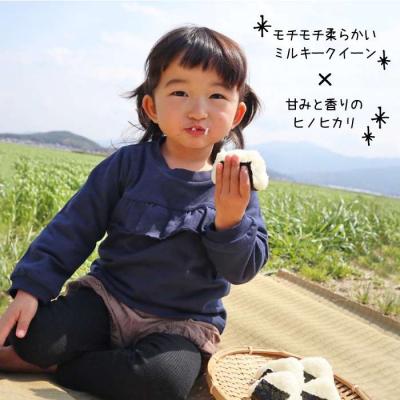 ふるさと納税 糸島市  米旋風 贅沢 ブレンド 5kg 《糸島》【百笑屋】 [ABF005] |  | 01