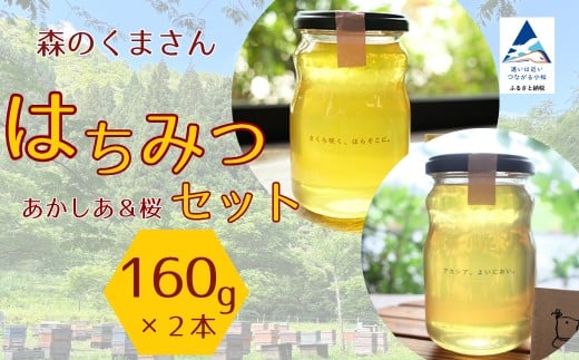 はちみつセット あかしあ＆桜 160g×2本 ハチミツ アカシア 小松市 石川県 【森のくまさん】