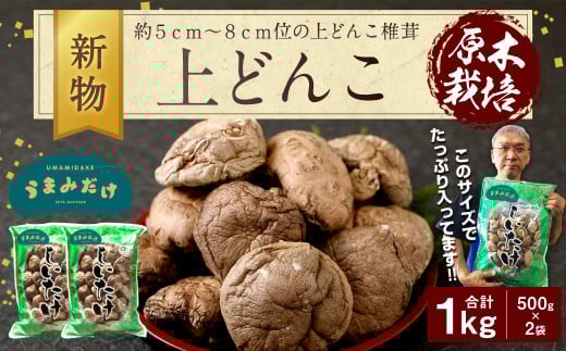 015-154x1 新物 上どんこ 1kg（500g×2袋）椎茸 うまみだけ 【2025年4月上旬以降順次発送】