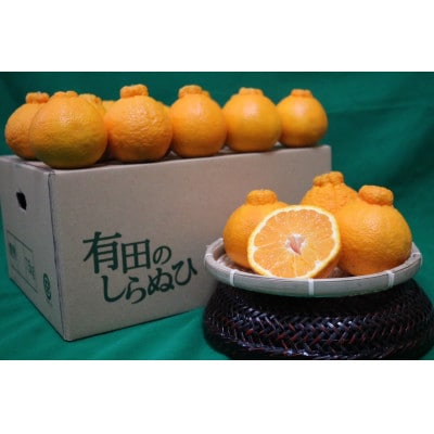 【2027年2月より順次発送】和歌山産　不知火(デコポン)7.5kg　家庭用　大玉【まごころ手選別】【1754683】