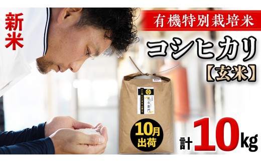 令和8年産・新米 ＜ 10月出荷 ＞ 玄米 10kg 三百年 続く農家 の 有機特別栽培米 コシヒカリ 有機栽培 農創 米 こめ コメ ごはん ご飯 精米 白米 国産 茨城県産 おいしい 新生活 プレゼント 新生活応援 必要なもの 便利 おすすめ 消耗品 一人暮らし 二人暮らし 必要