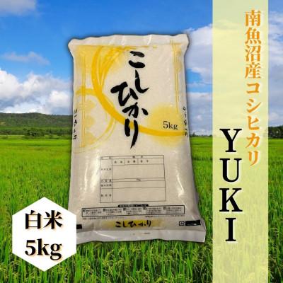 ふるさと納税 南魚沼市 【令和8年産 新米予約】南魚沼産コシヒカリ「YUKI」(精米5kg)新潟県の特A地区の美味しいお米
