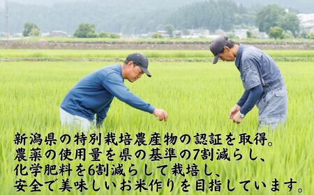 【令和8年産 新米】新之助 5kg 早川の清流が育んだ美味しいお米 新潟県糸魚川産 2026年 磯貝農場【しんのすけ 米 お米 こめ ご飯 ライス ふるさと納税米 食品 人気 おすすめ お弁当 おにぎ