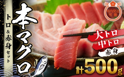 
            本マグロ トロ+赤身セット 500g | 【年末年始お届け可能】那智勝浦町 海鮮 魚介類 本まぐろ 本マグロ まぐろ マグロ 鮪 maguro トロ 赤身 刺身用 セット 人気 おすすめ グルメ 大トロ 中トロ 寿司 お正月 国産まぐろ
          