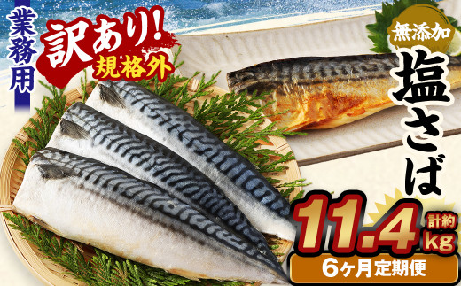 
【6ヶ月定期便】【訳あり規格外】 業務用 無添加塩さば 1.9kg
