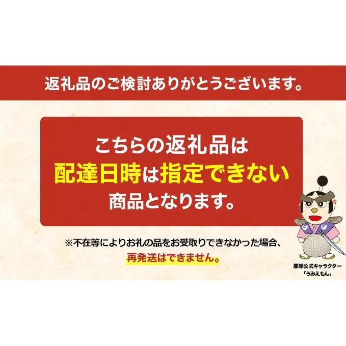 特大 あさり 500g ×2袋 (計約1kg) 砂出し済み アサリ あさり