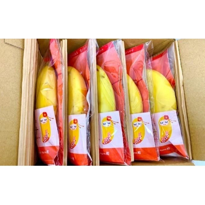 朝倉産【恋バナナ】5本セット 果物詰合せ フルーツ _イメージ2