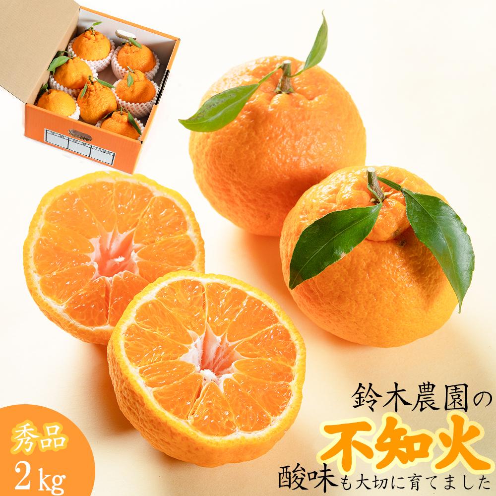 【ふるさと納税】【R8年出荷分】鈴木農園の不知火2kg（2L又は3L）　和歌山県から農家直送！デコポン　しらぬい　オレンジ　皮がむきやすい【北海道・沖縄・一部離島への配送不可】