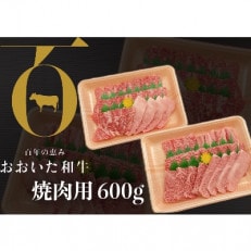 おおいた和牛焼肉用600g(300g×2P)