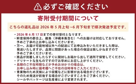 熊本県産スイカ ラオウザスイート＆金色羅皇 2玉 果物 フルーツ 西瓜 すいか スイカ 大玉 大玉スイカ 大玉すいか 常温 熊本県産 【2026年5月上旬発送開始】
