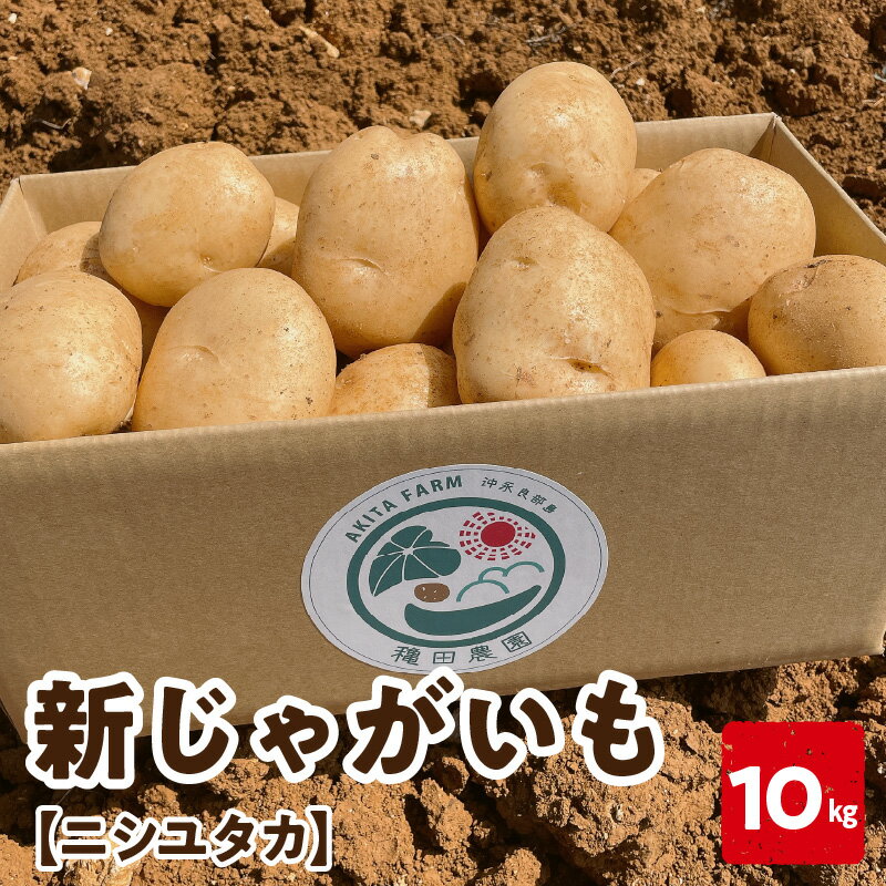 【ふるさと納税】【2026年先行予約】＜お届け月が選べる＞ 新じゃがいも ニシユタカ 10kg 2月～3月お届け じゃがいも 芋 ポテト 野菜 ミネラル豊富 料理 調理 先行受付 沖永良部産 堀りたて 美味しい 新鮮 穐田農園 ふるさと納税 知名町 おすすめ ランキング プレゼント