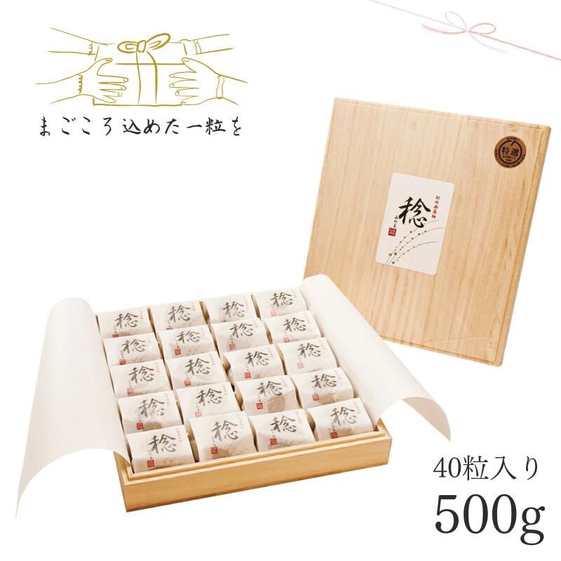 【ふるさと納税】紀州南高梅「稔」40粒入（500g）｜和紙包みの高級梅干し 贈答用 紀州みなべの南高梅