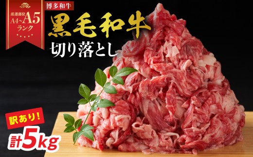 
                  【厳選部位 A4～A5】訳あり！博多和牛切り落とし 5kg(500g×10P） 牛肉 牛肉 5kg 牛肉 切り落とし 牛肉 切り落とし 訳あり 牛肉 切り落とし 5kg 博多和牛 博多和牛 5kg 博多和牛 切り落とし しゃぶしゃぶ すき焼き 肩 バラ 国産 牛肉 A4 A5 厳選部位 化粧箱 福岡県 八女市
                